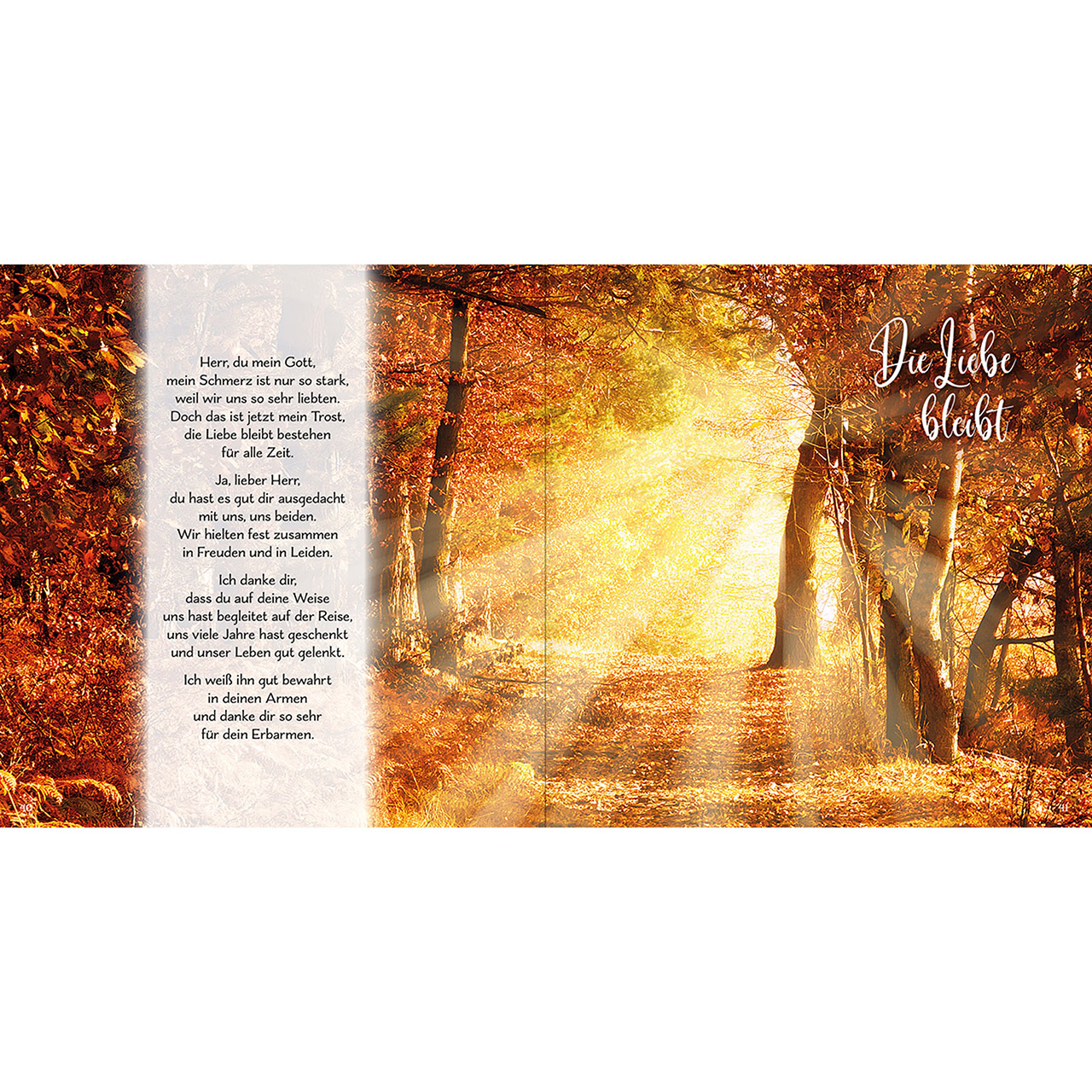 Geschenkbuch - Bist du auch fort, die Liebe bleibt - Laterne Kerze Rose