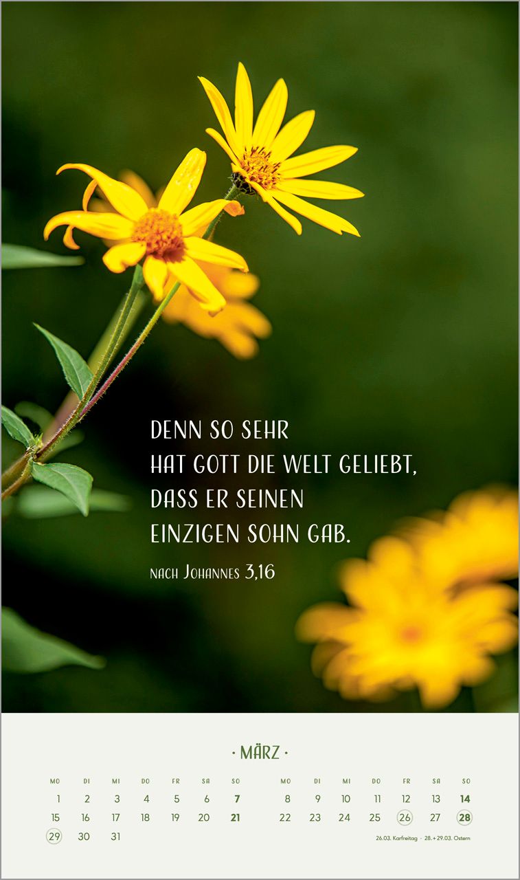 Posterkalender - Zarte Blumengrüße 2027 Posterkalender