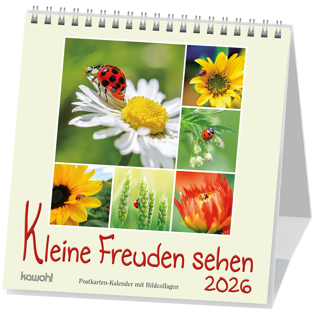 Kleine Freuden sehen 2026 Postkartenkalender - Kleine Freuden sehen 2026