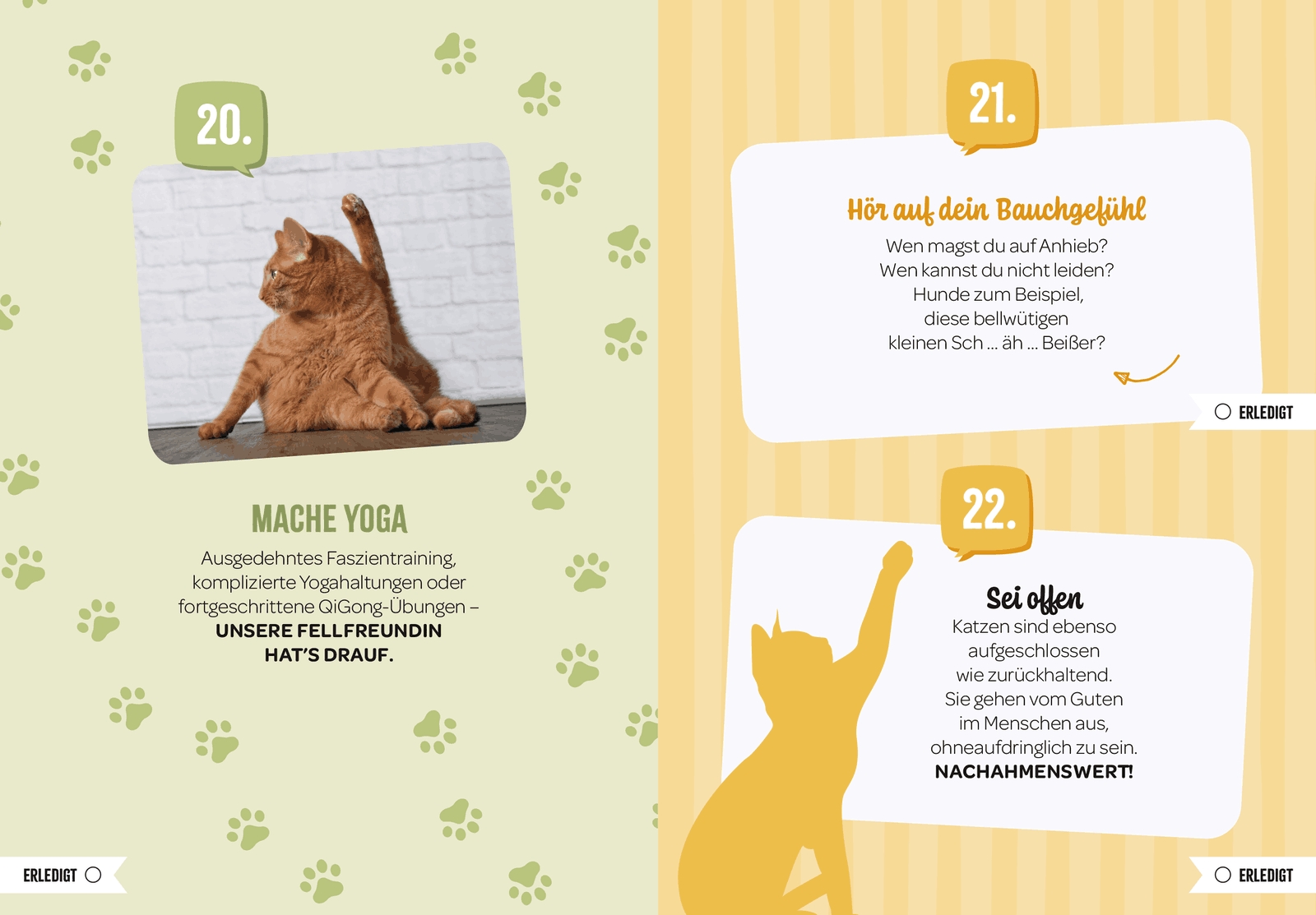 Geschenkbuch - 100 Dinge, die man von einer Katze lernen kann