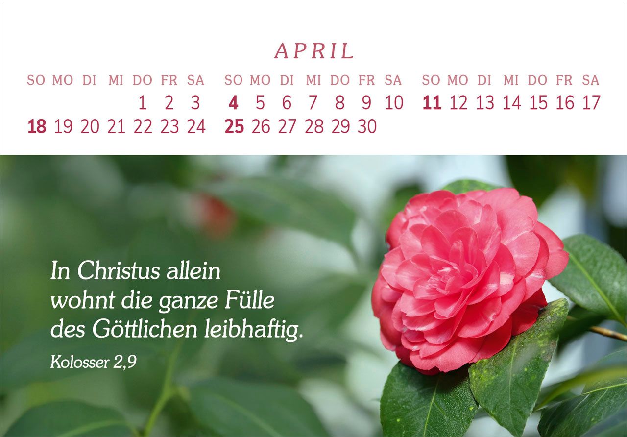 Panoramakalender - Das Geschenk der Freude 2027