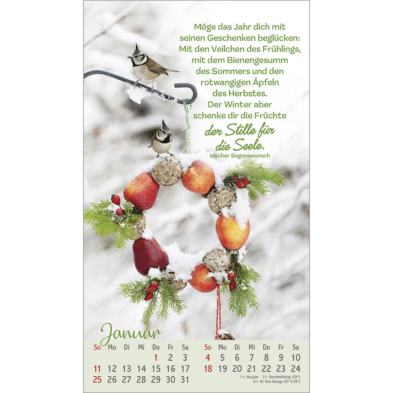 Postkartenkalender - Beflügelt und geborgen 2026