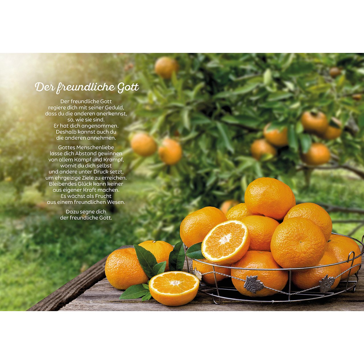 Grußheft - Alles Liebe zum neuen Lebensjahr - Kuchen Torte Blumenstrauß Happy Birthday Tisch Garten