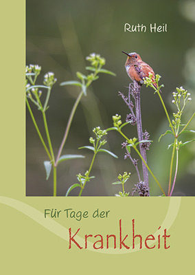 Für Tage der Krankheit Grußheft - Für Tage der Krankheit - Vogel Blumen