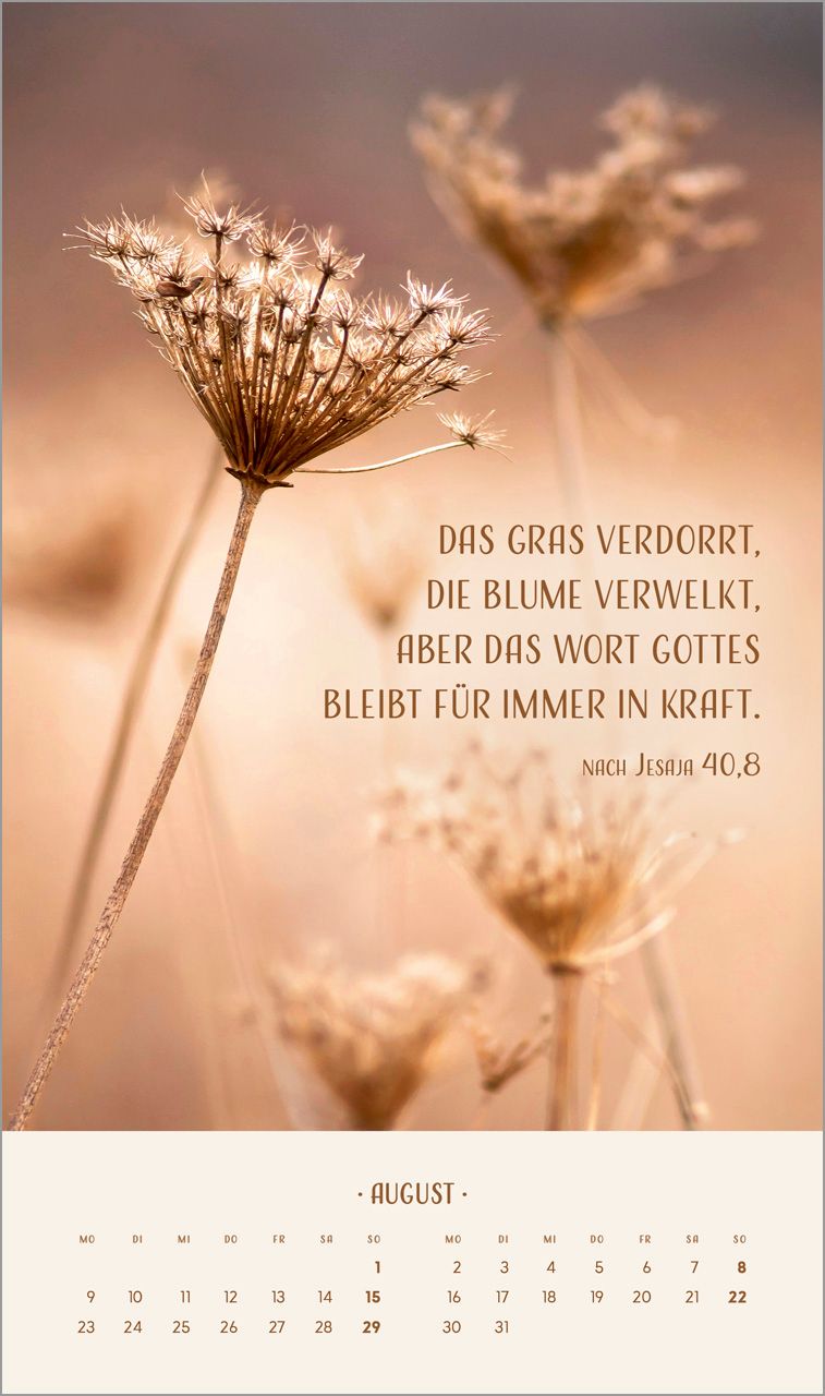 Posterkalender - Zarte Blumengrüße 2027 Posterkalender