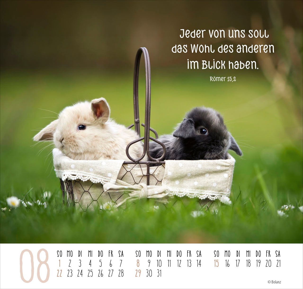 Posterkalender - Beste Freunde 2027