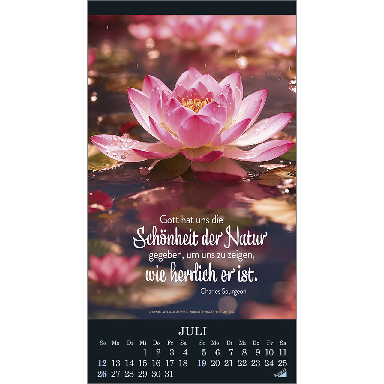Wandkalender - Die Wunder deiner Werke 2026