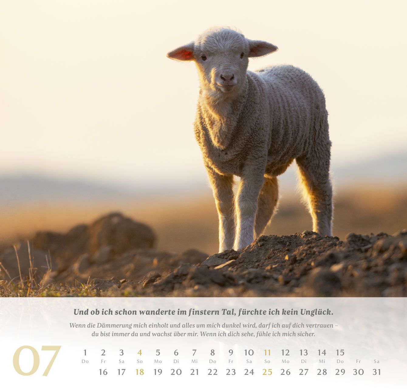 Wandkalender - Psalm 23 2027 Wandkalender