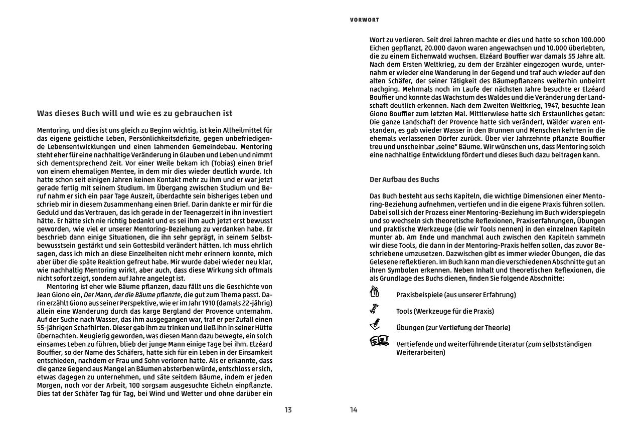 Buch - Mentoring - Das Praxisbuch