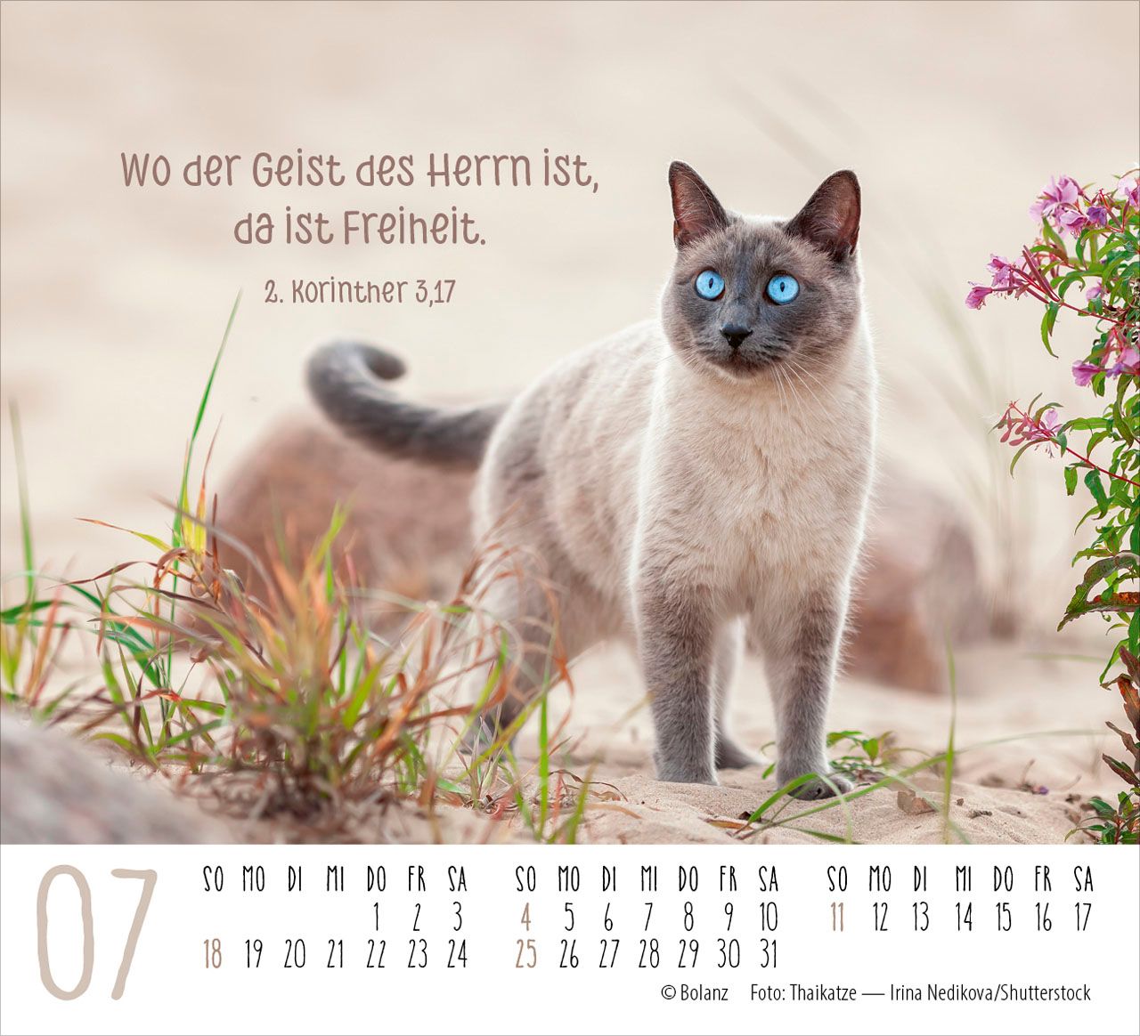 Aufstellkalender - Katzen 2027
