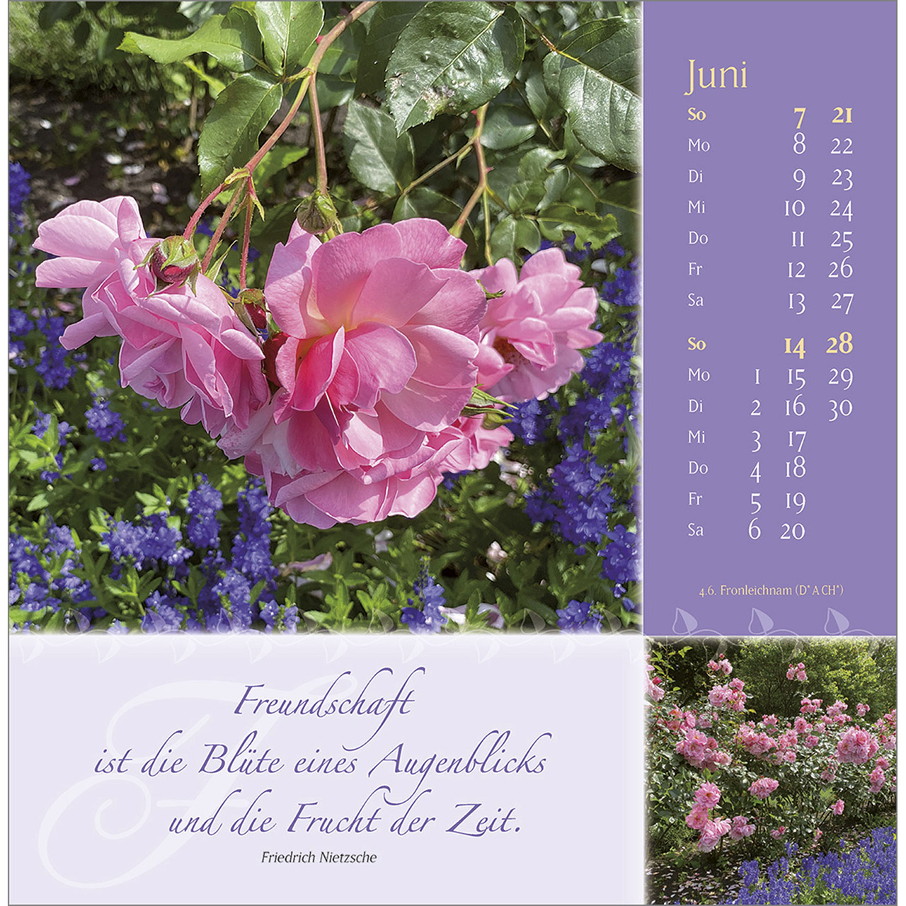 Postkartenkalender - Rosenduft mit lieben Wünschen 2026