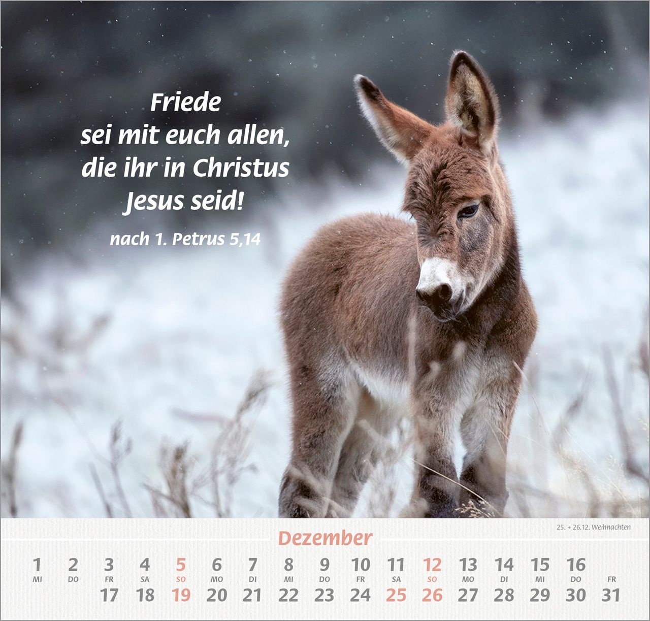 Wandkalender - Ich hab dich gern 2027 Wandkalender