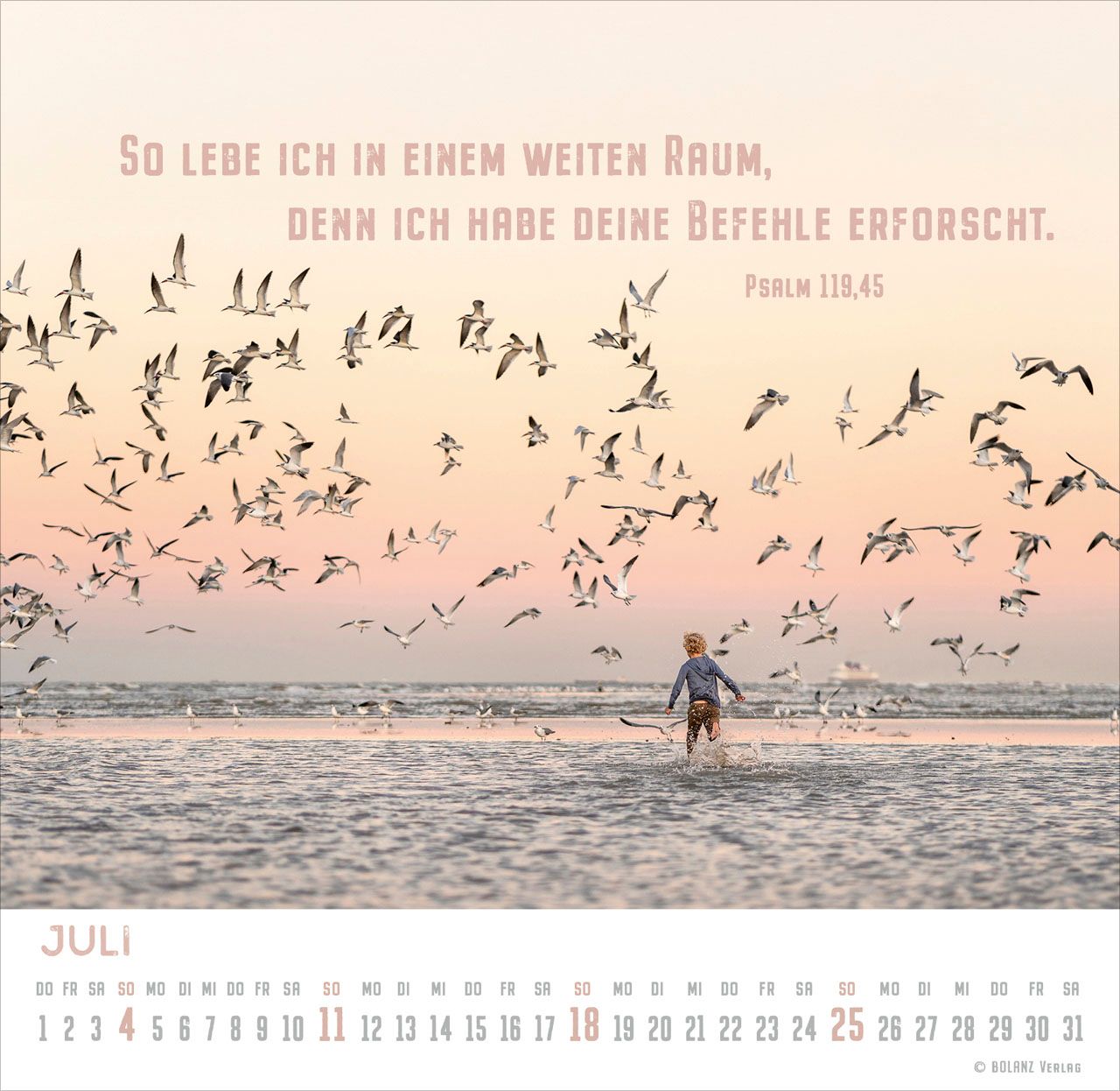 Tischkalender - Freiheit 2027 Tischkalender