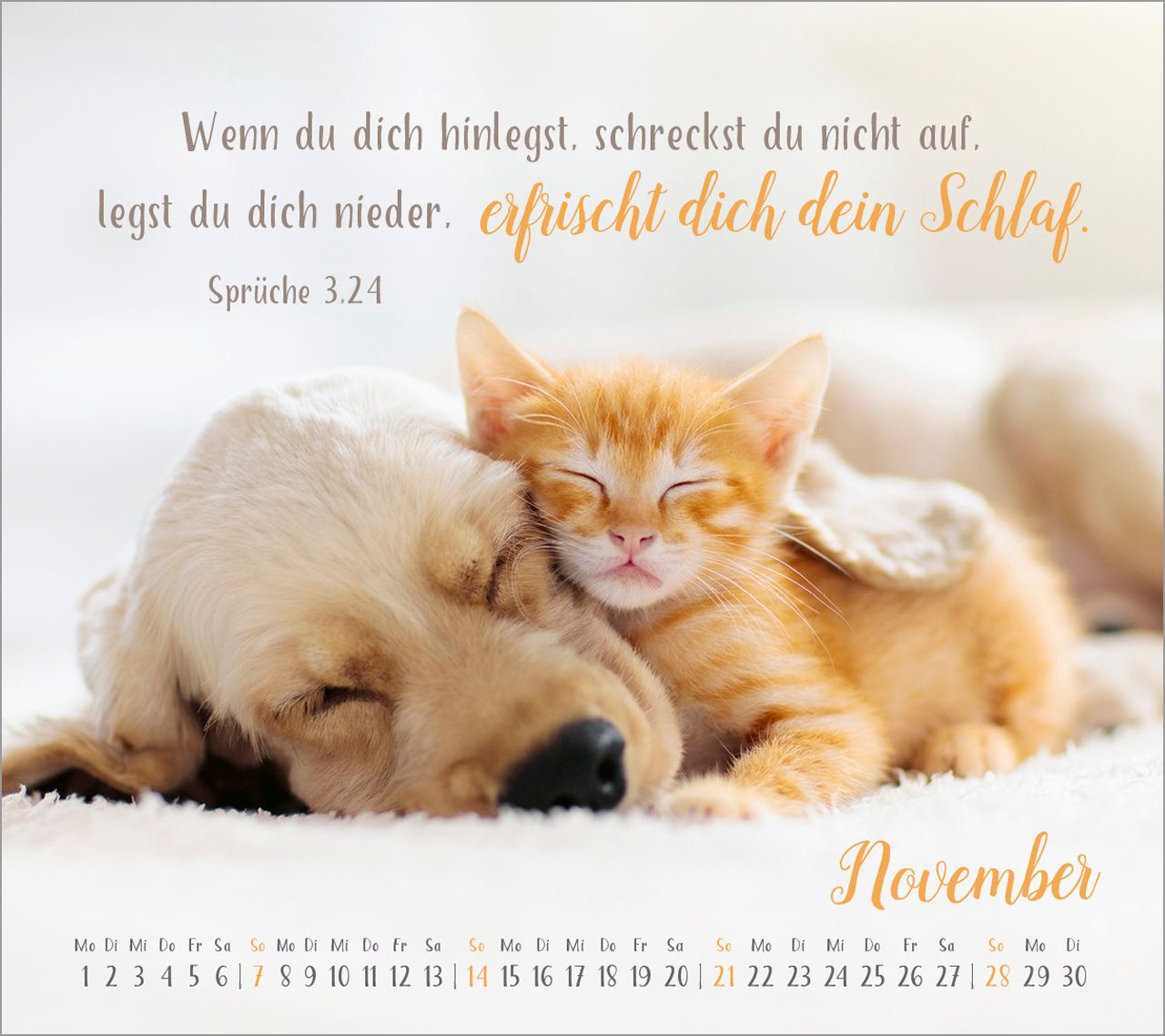 Tischkalender - SegensWorte 2027