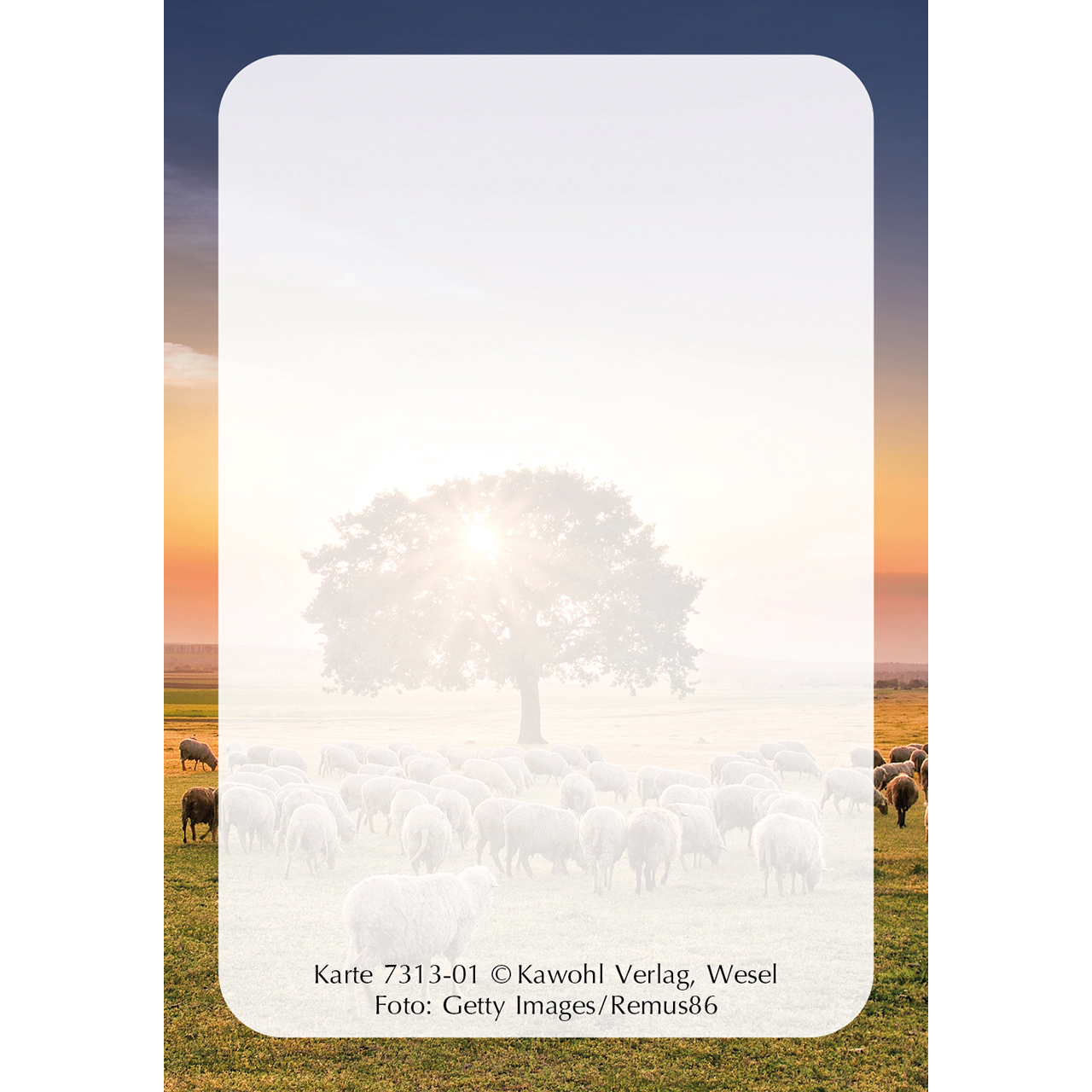 Karten-Box Papier - Jesu Worte - Boot Netz Strand Sonne Wolken