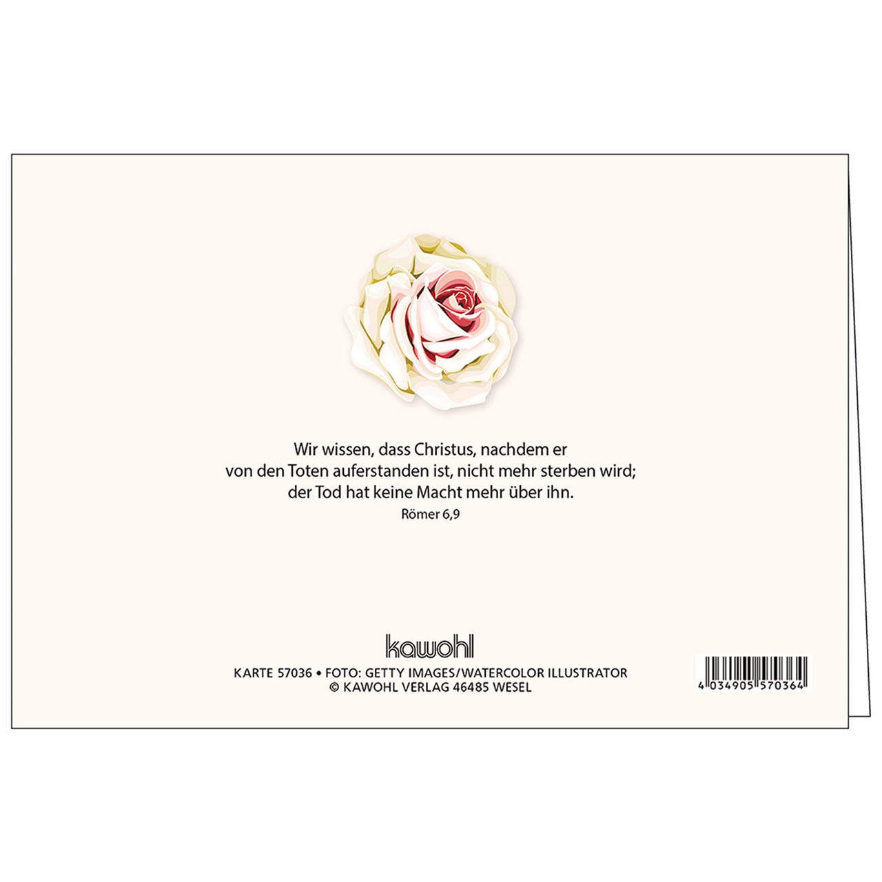 Faltkarte - Gesegnete Ostern - Jesus lebt - Illustration Rosen Hibiskus