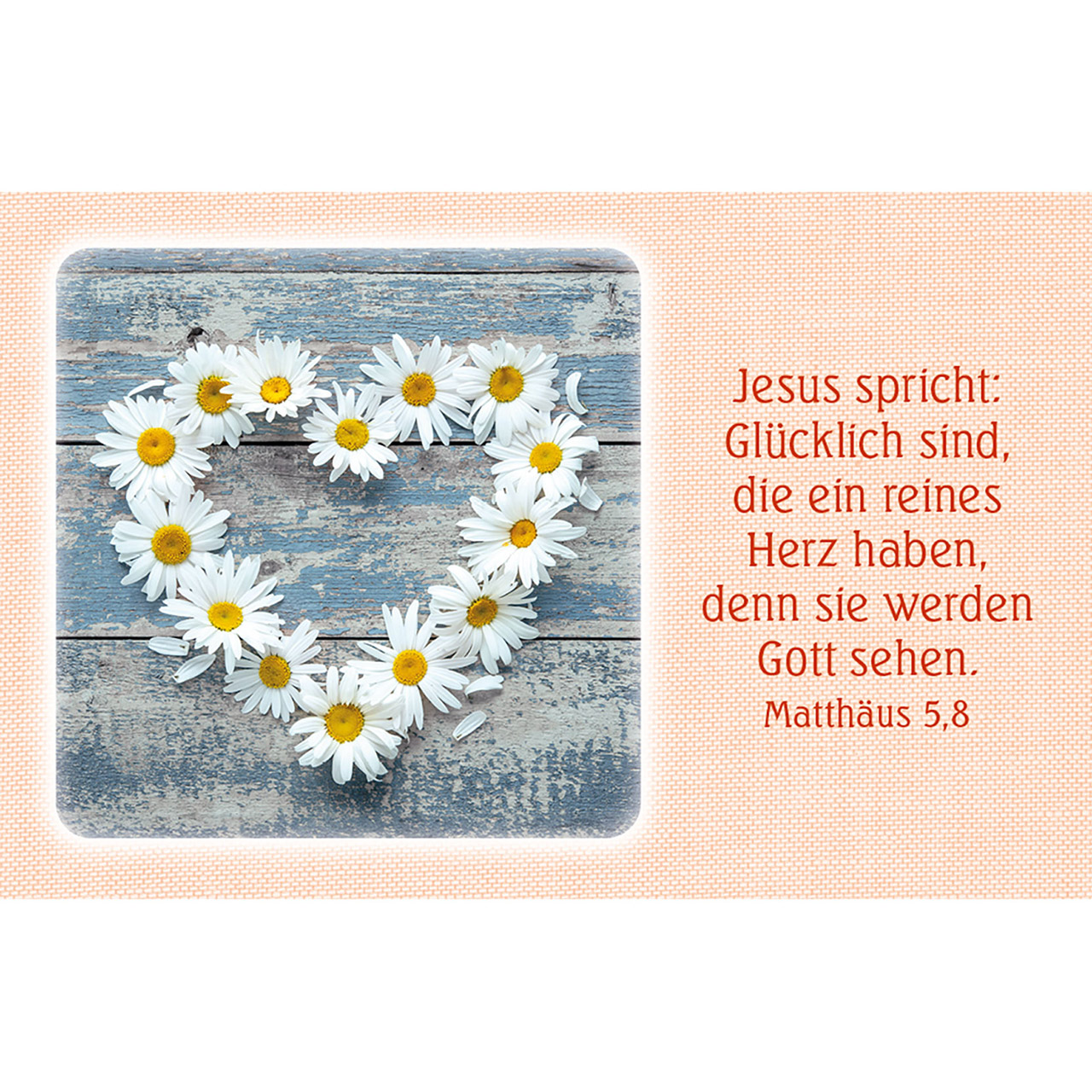 Karten-Box Kunststoff - Lichtblicke - Berge Landschaft Sonne