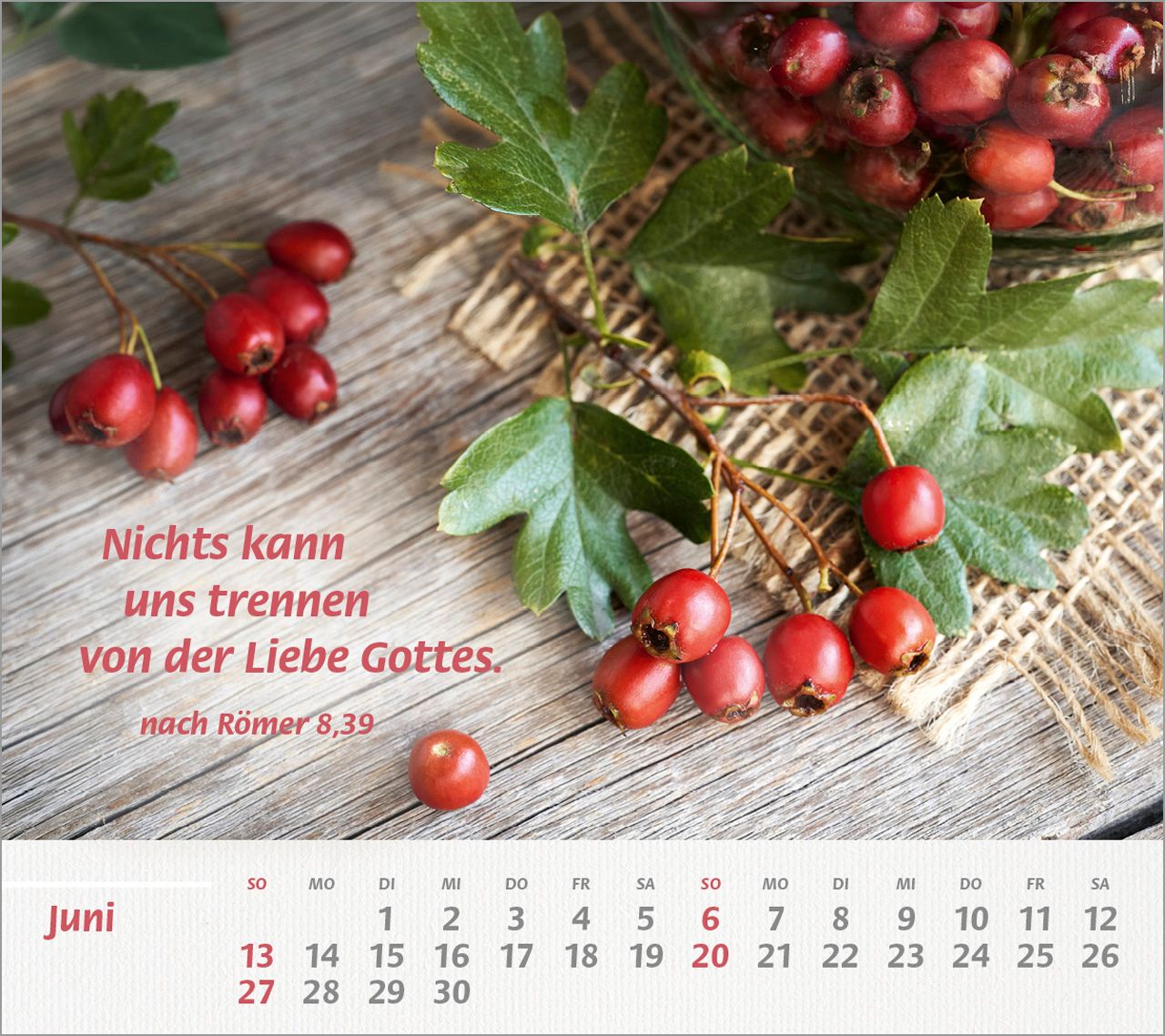 Tischkalender - Du bist meine Stärke 2027