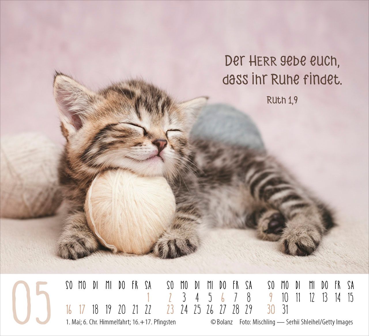 Aufstellkalender - Katzen 2027