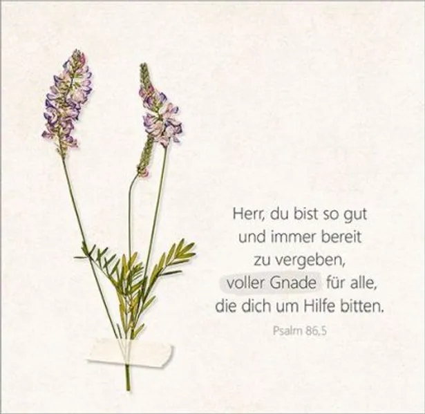 Aufstellbuch - Unendlich geliebt