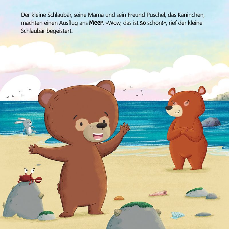 Buch - Der kleine Schlaubär und der Ausflug ans Meer