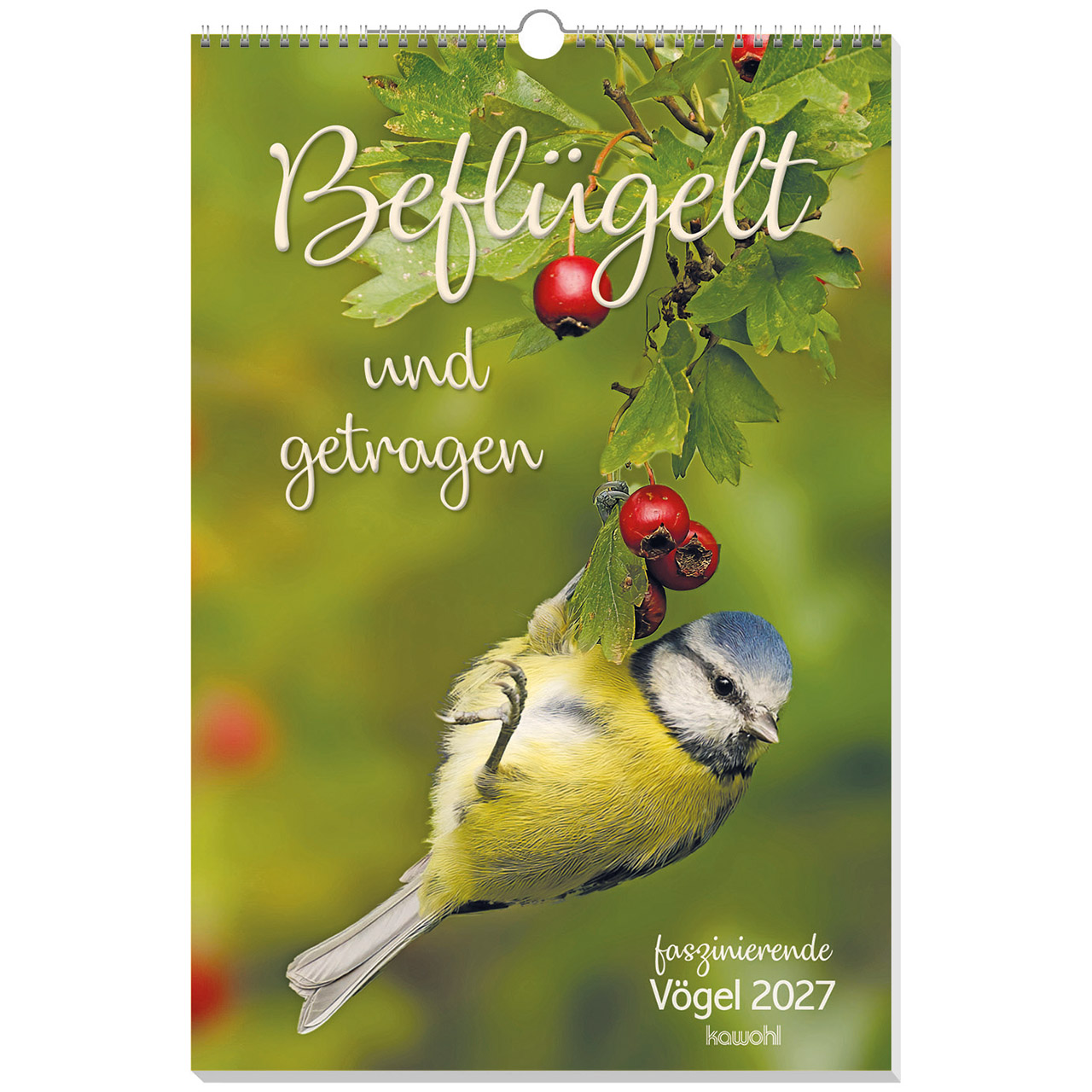 Notizblock - Über allen Hiobs Botschaften - Leuchtturm Felsen Meer