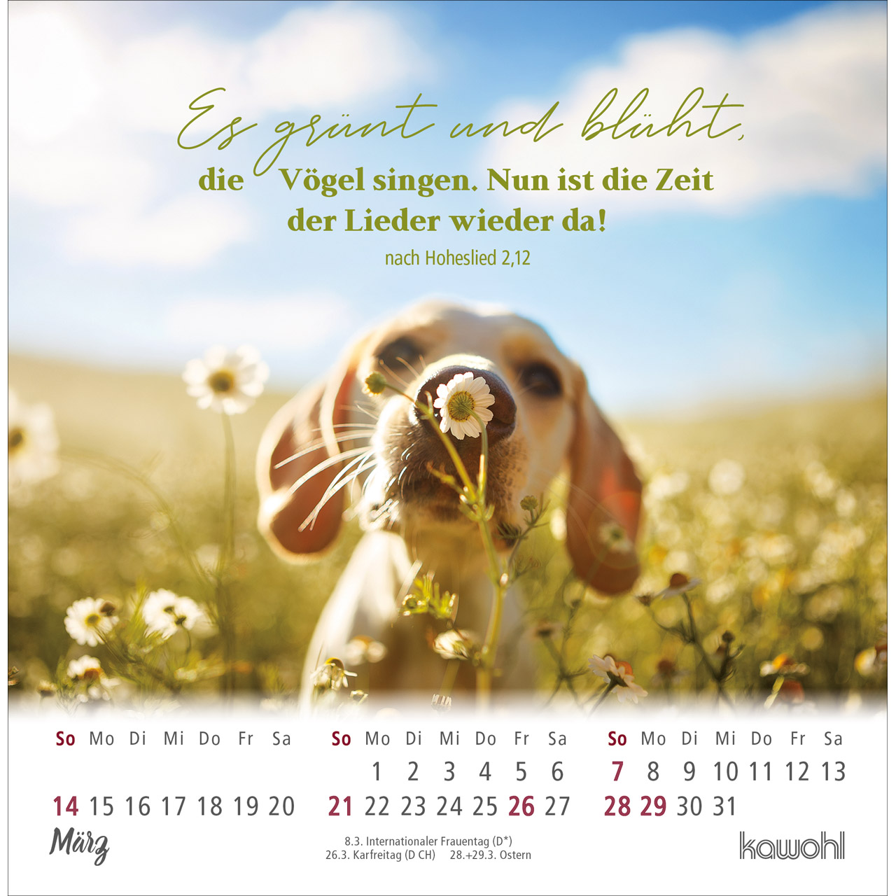 Postkartenkalender - Ankommen & leben 2027