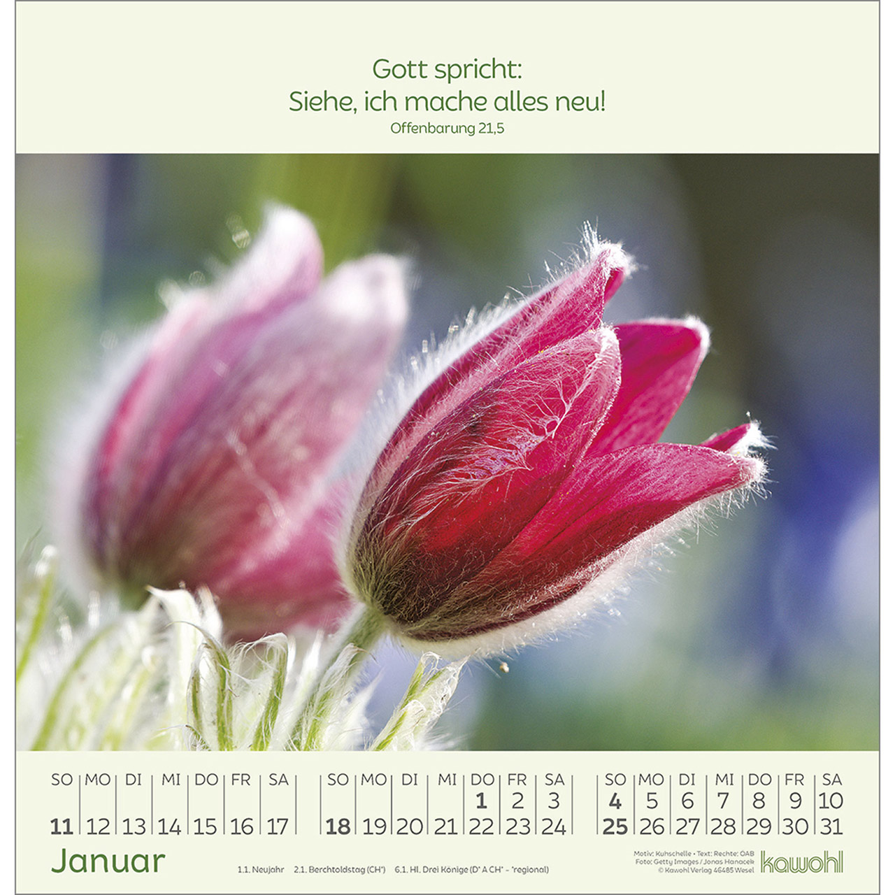 Wandkalender - Blumengrüße 2026
