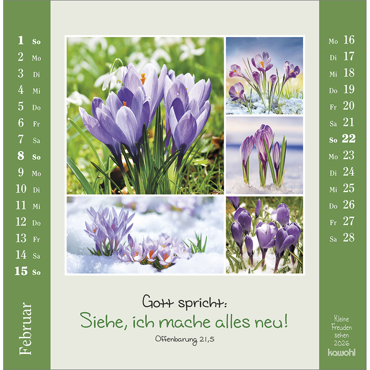 Postkartenkalender - Kleine Freuden sehen 2026