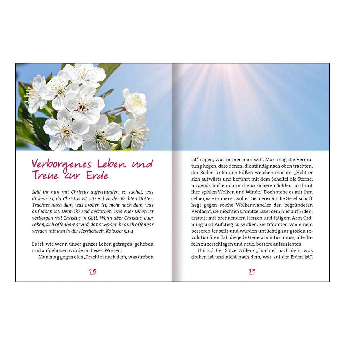 Buch - Von Gottes Liebe leben wir
