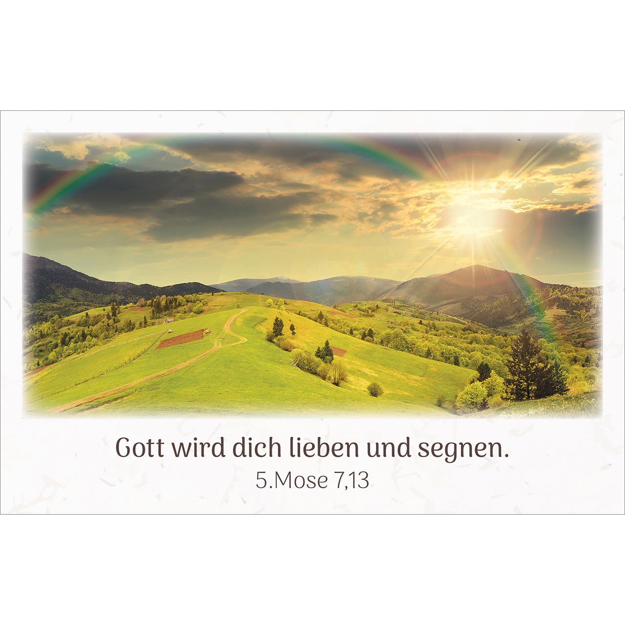 Karten-Box Kunststoff - Himmlische Zusagen - Wald Lavendel Bäume Weg