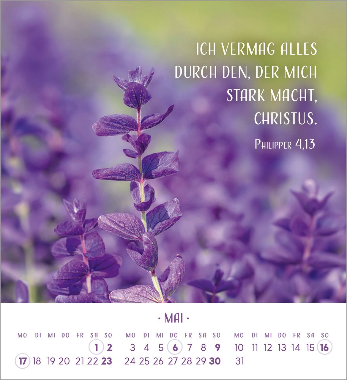 Tischkalender - Zarte Blumengrüße 2027