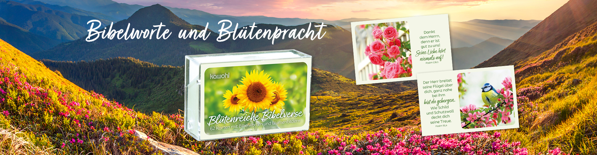 Banner mit blühenden Bergen, darauf steht eine Bibel-Kartenbox mit 2 dazugehörigen Kärtchen, darüber steht ein Text: „Bibelworte und Blütenpracht“.