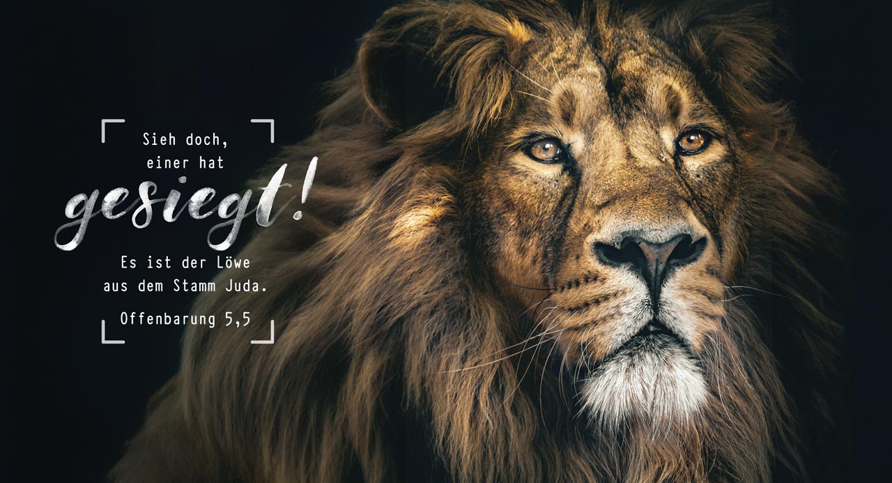 Wanddekoration - Metallschild Löwe