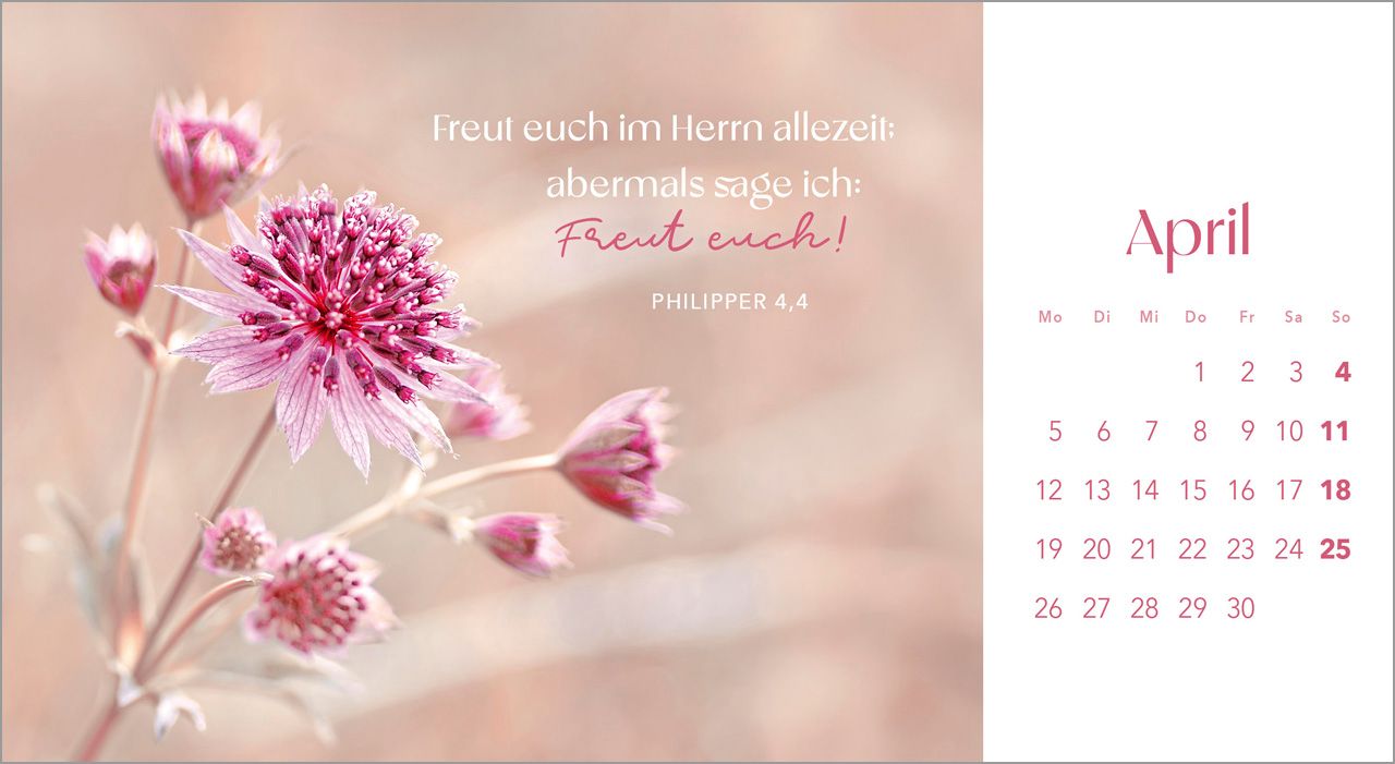 Postkartenkalender - Augenblicke der Anbetung 2027