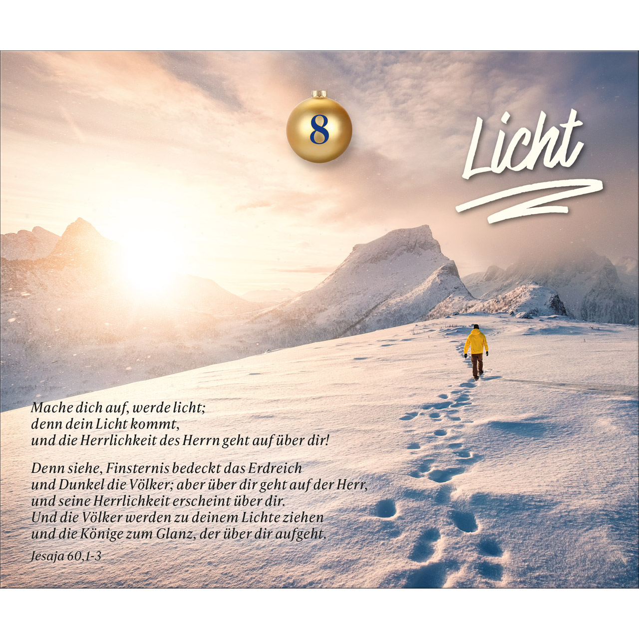 Adventskalender - Wie ein helles Licht in der Nacht - Weihnachtskugel Glas Krippe Maria Josef Jesus Baby Kuh Ochs Esel