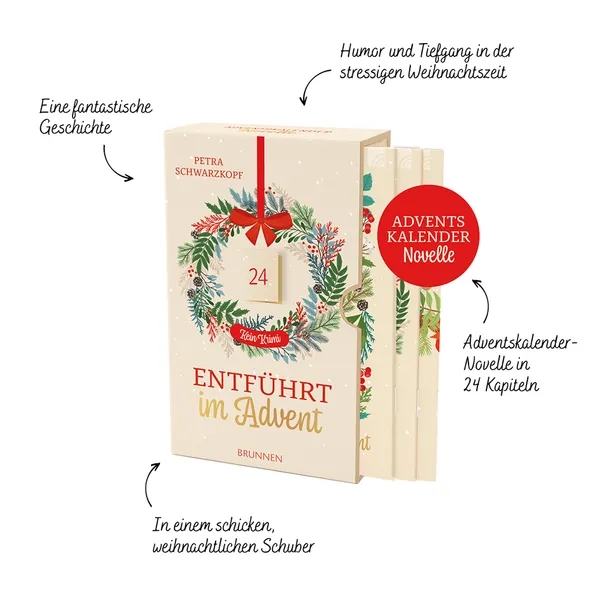 Buch - Entführt im Advent
