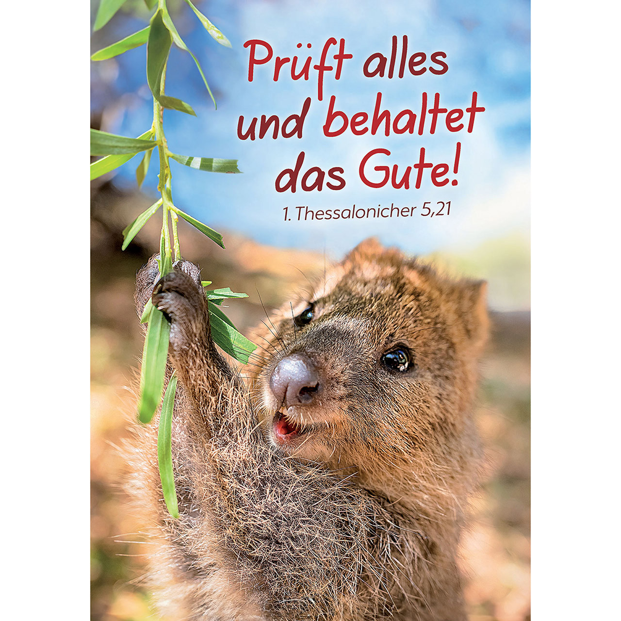 Prüft alles und behaltet das Gute!