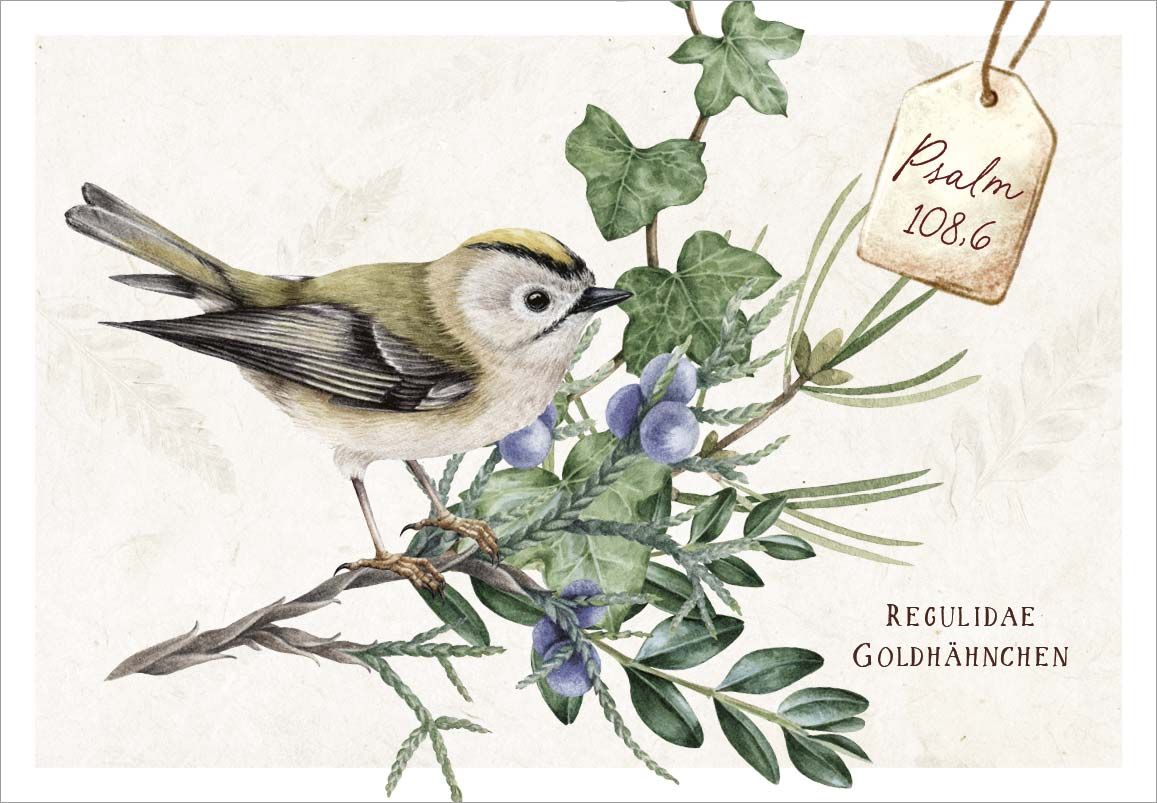 Karten-Box Papier - Neujahrslose "Meisterwerke" - Vogel Ast Früchte Blätter