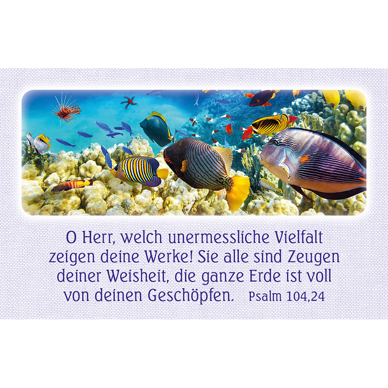 Karten-Box Kunststoff - Psalm-Gebete - Lavendelfeld