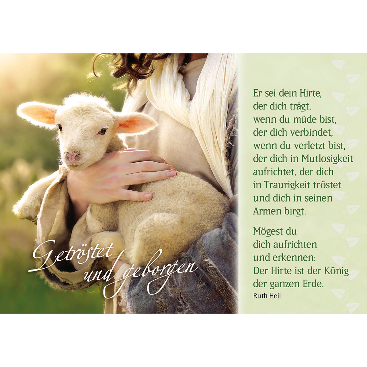 Postkarten-Buch - Der gute Hirte führt uns - Schafe / Lämmer