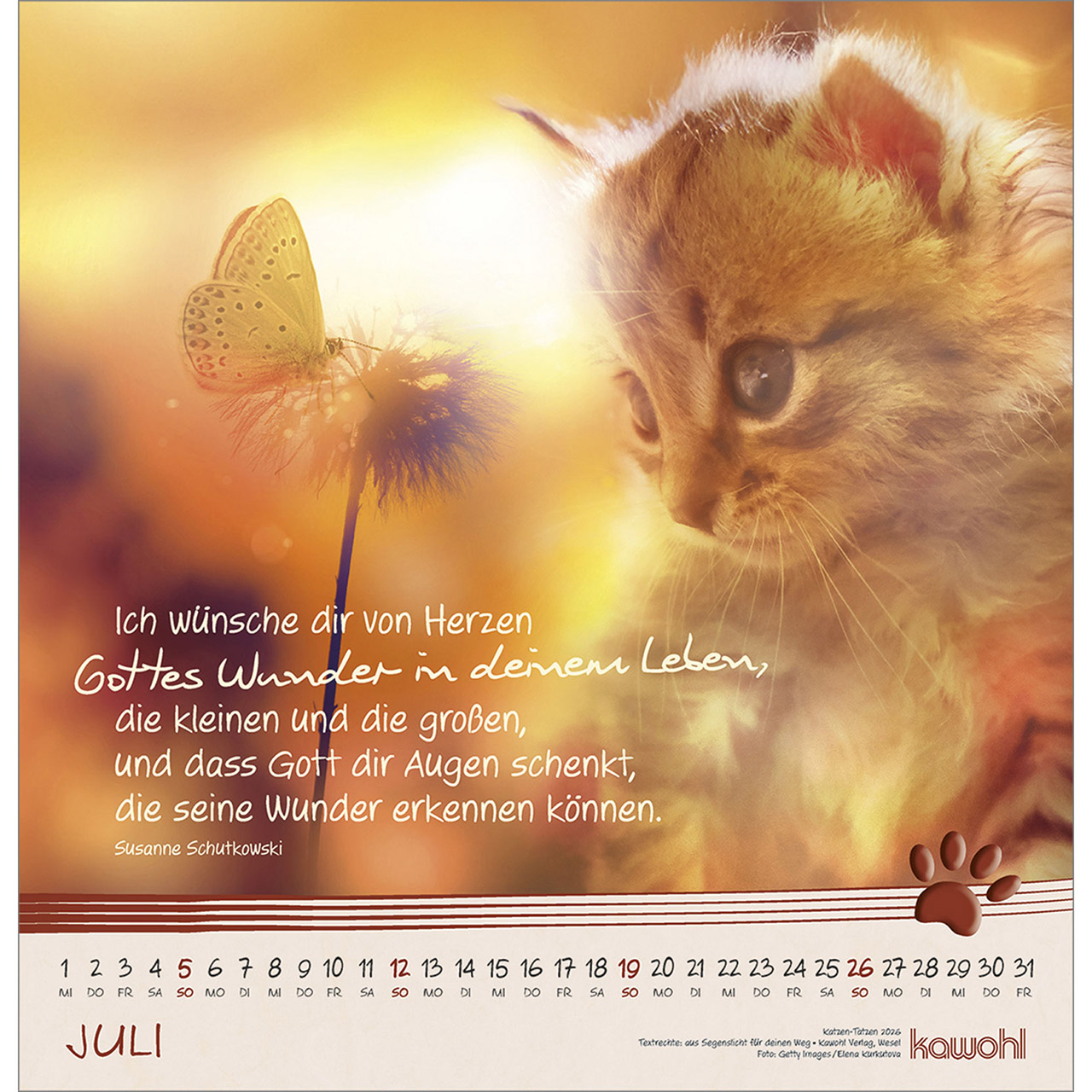 Wandkalender - Katzen-Tatzen 2026