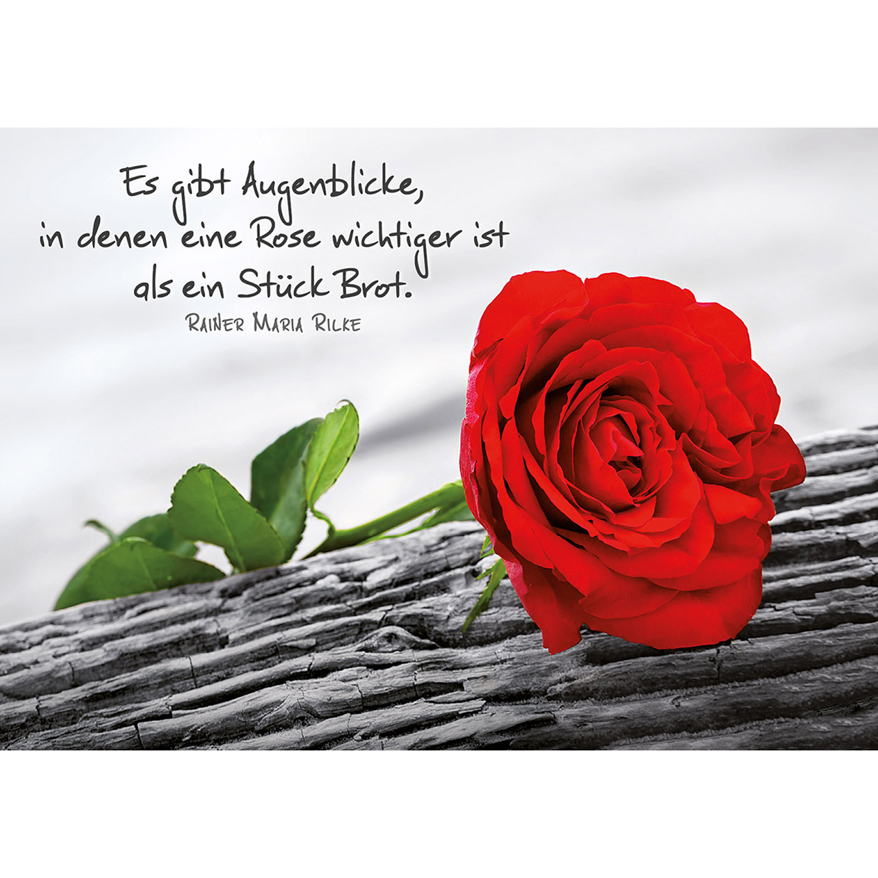 Postkarten-Buch - Kleine Wunder sind kostbar - S/W + Farbe