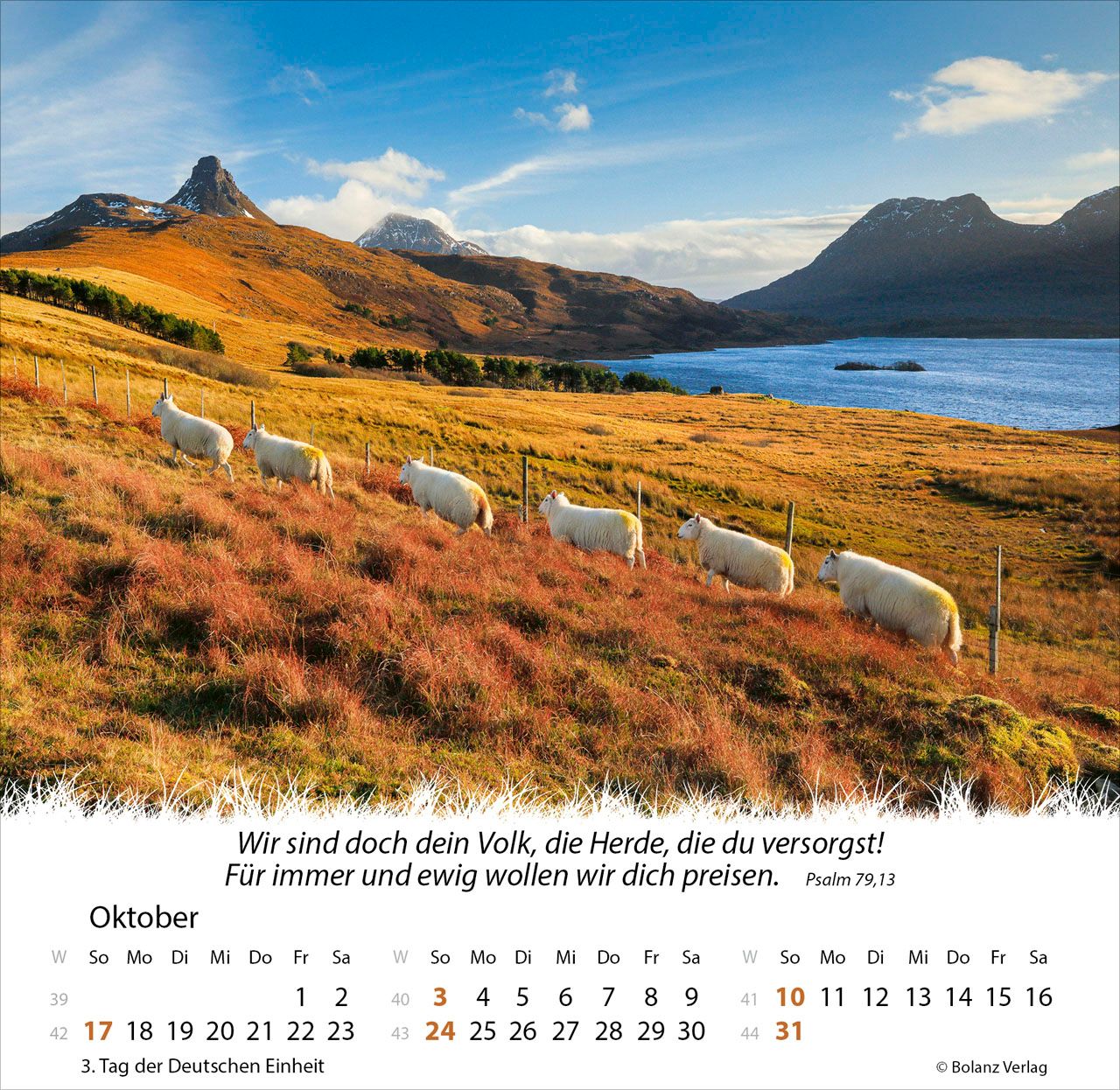 Tischkalender - Ein Leben für die Schafe 2027 Tischkalender