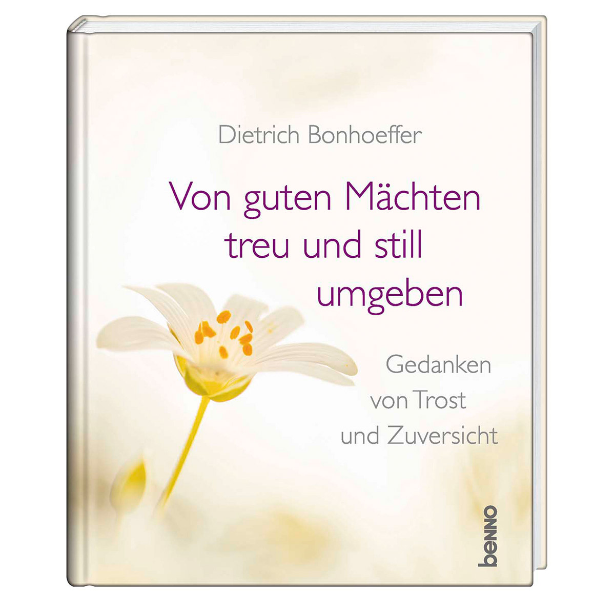 Buch - Von guten Mächten treu und still umgeben - Buch Blume weiße Tulpe