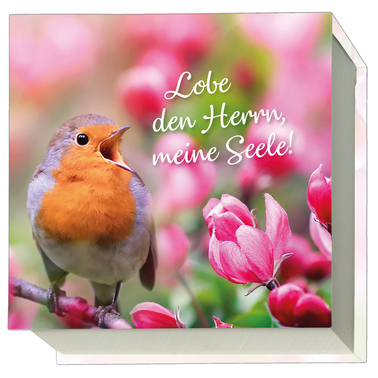 Notizblock - Lobe den Herrn, meine Seele - Rotkehlchen singend Blumen pink Ast