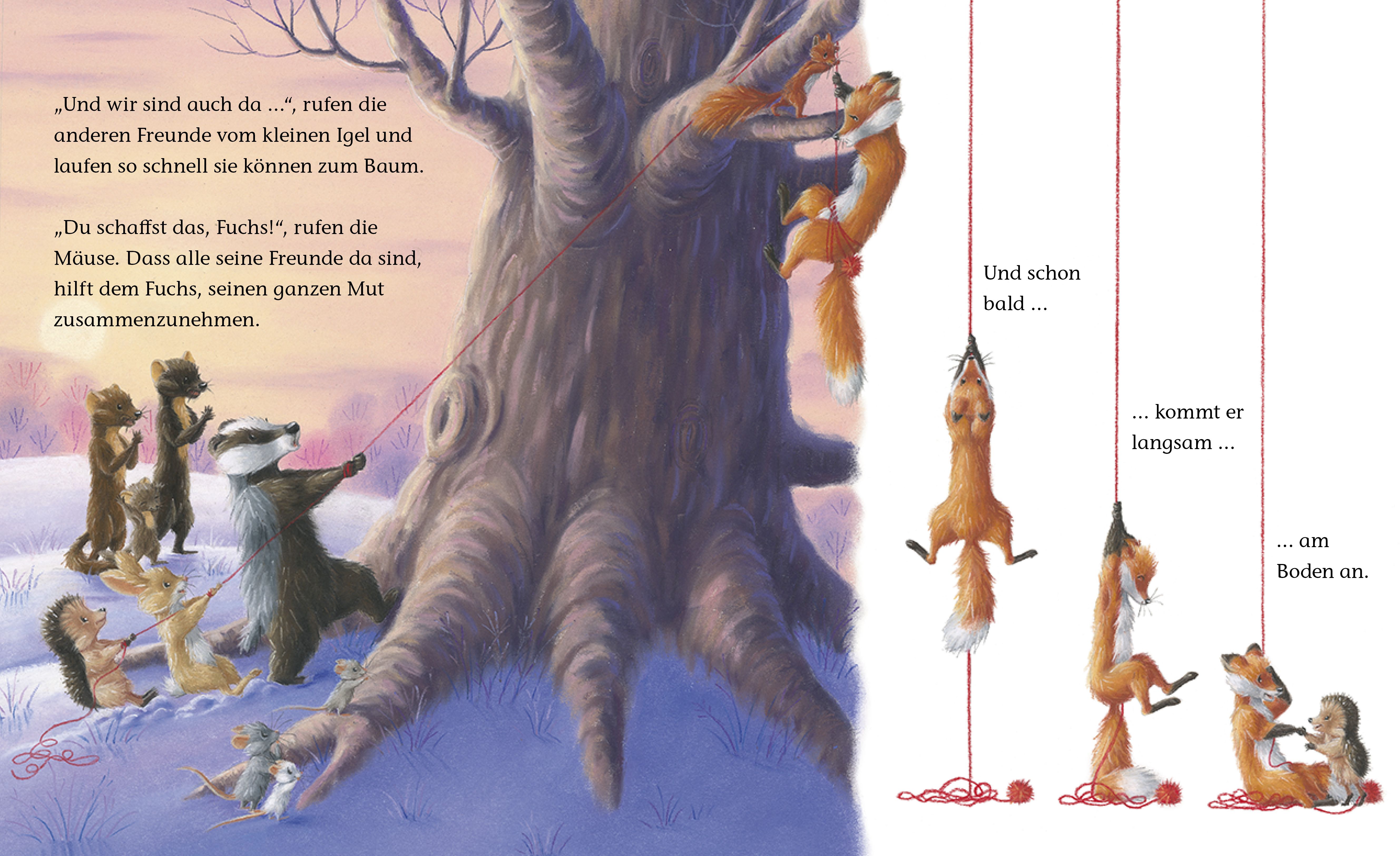 Buch - Der kleine Igel und der turbulente Weihnachtstag