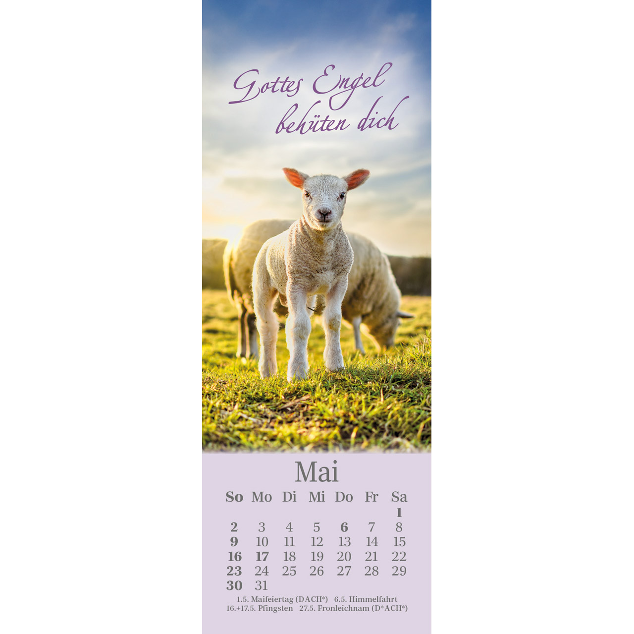 Lesezeichenkalender - Sei behütet jeden Tag 2027