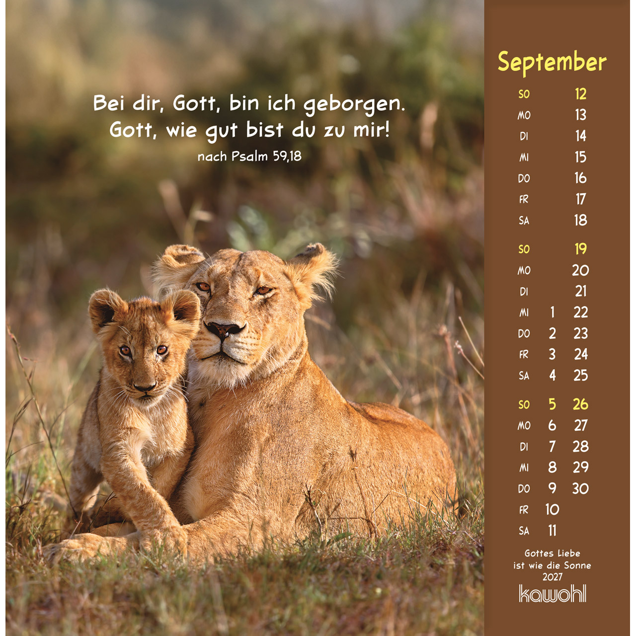 Postkartenkalender - Gottes Liebe ist wie die Sonne 2027