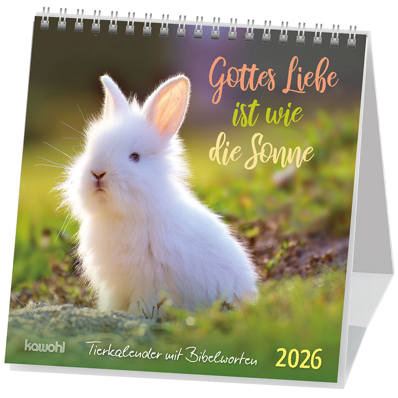 Gottes Liebe ist wie die Sonne 2026